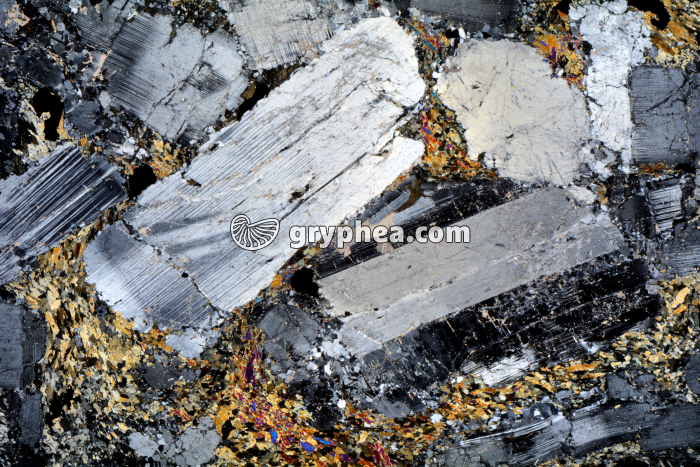 Métagabbro à Hornblende LPA x3,5 - gryphea.com
